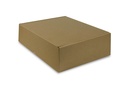 Mailer Box