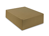 [B100] Mailer Box